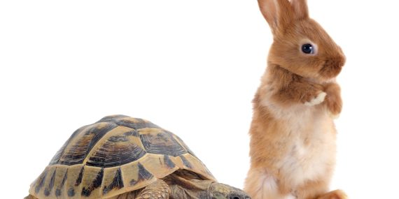 זריזות ועצלות