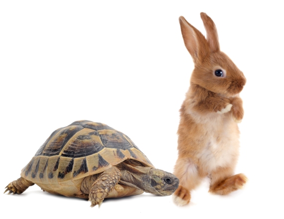 זריזות ועצלות